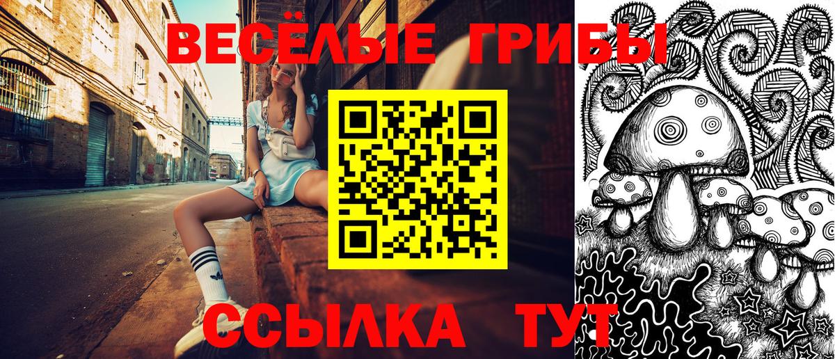 Дюртюли  Галлюциногенные грибы мухоморы  Галлюциногенные грибы Psilocybine cubensis  Вход с VPN 